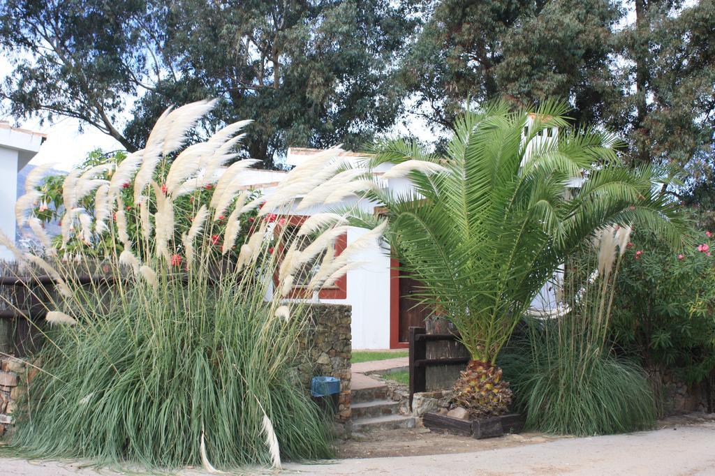 Ferienwohnung Molino El Mastral Tarifa Exterior foto